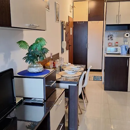 Apartament мм комплекс студиа ,,роза,, *